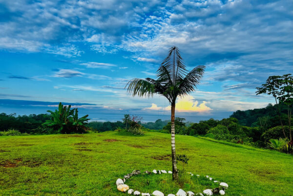 Beauty of Luxury Hotel Ocean Breeze in Costa Rica