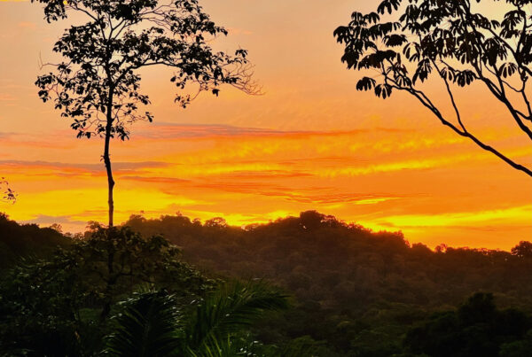 costa rica sunset