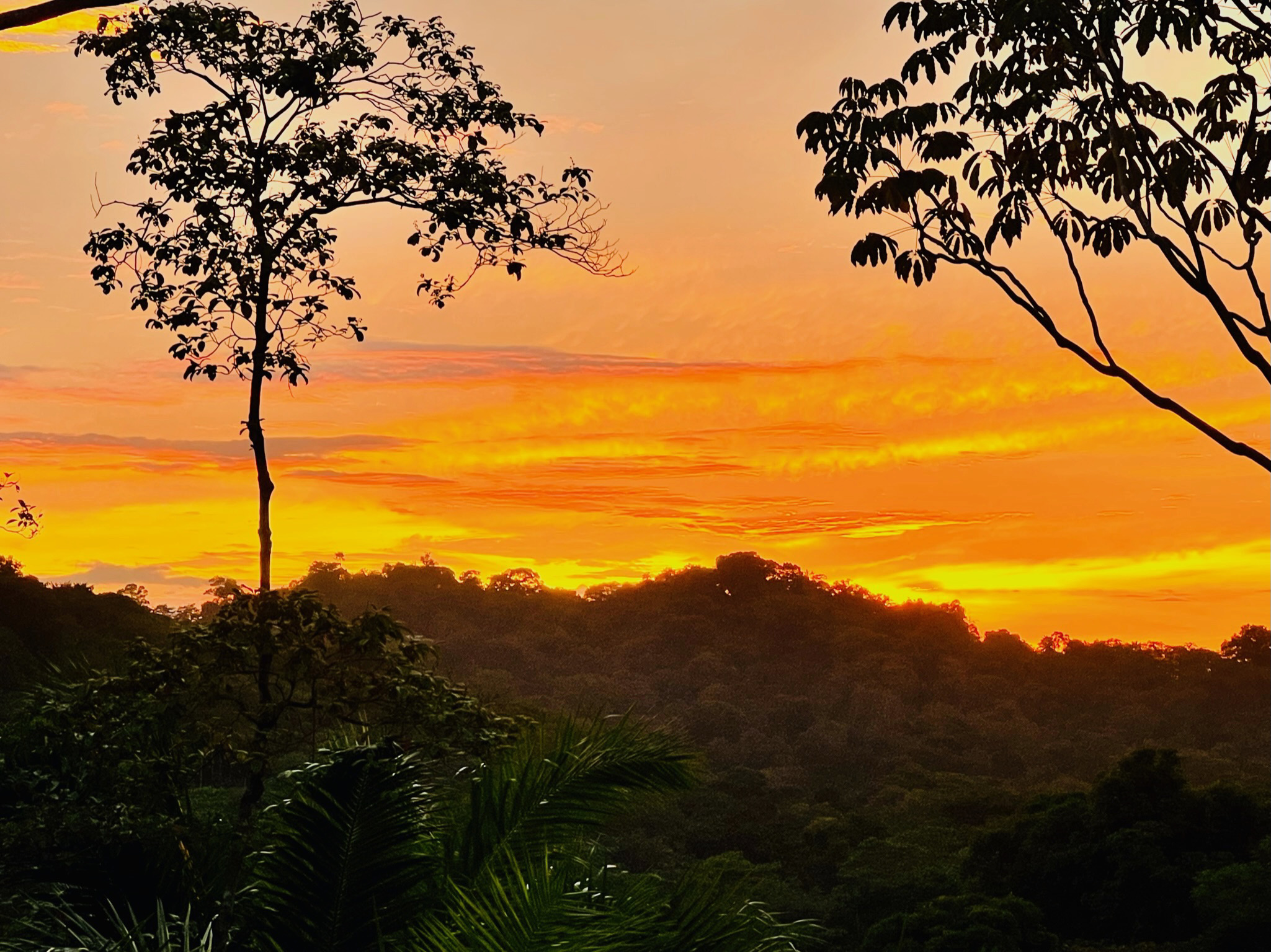 Unveiling the Hidden Charms of Ojochal Hot Springs, Costa Rica, near Hotel Ocean Breeze