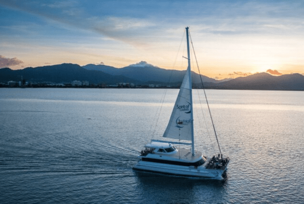 Catamaran Day Tour