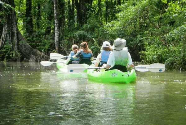 Sea Kayaking