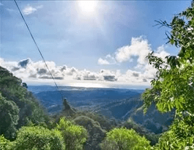 Zipline Canopy Tour