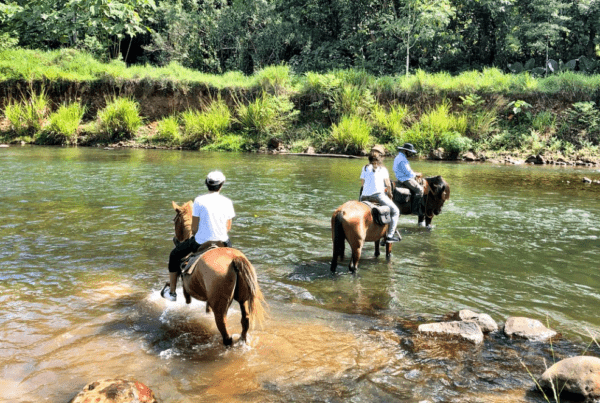 Horseback Riding