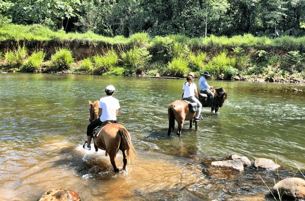 Best Horseback Riding Tours in Costa Rica – Exploring Pristine Esterillos Beach