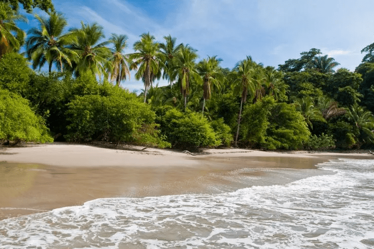 Hotel Ocean Breeze in Costa Rica: A Tropical Paradise near Manuel Antonio National Park