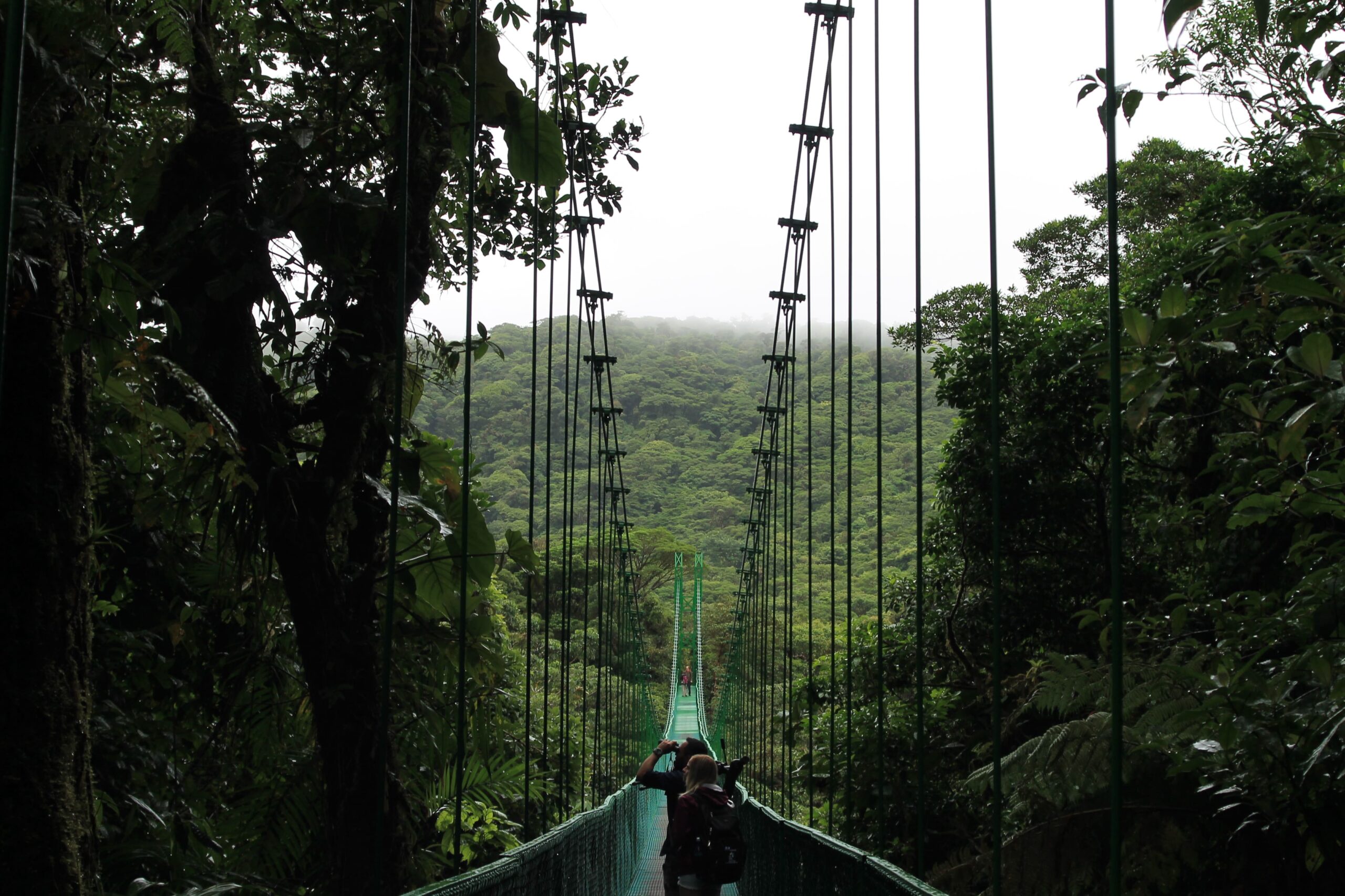 Hanging Bridges Tour in Ojochal Costa Rica